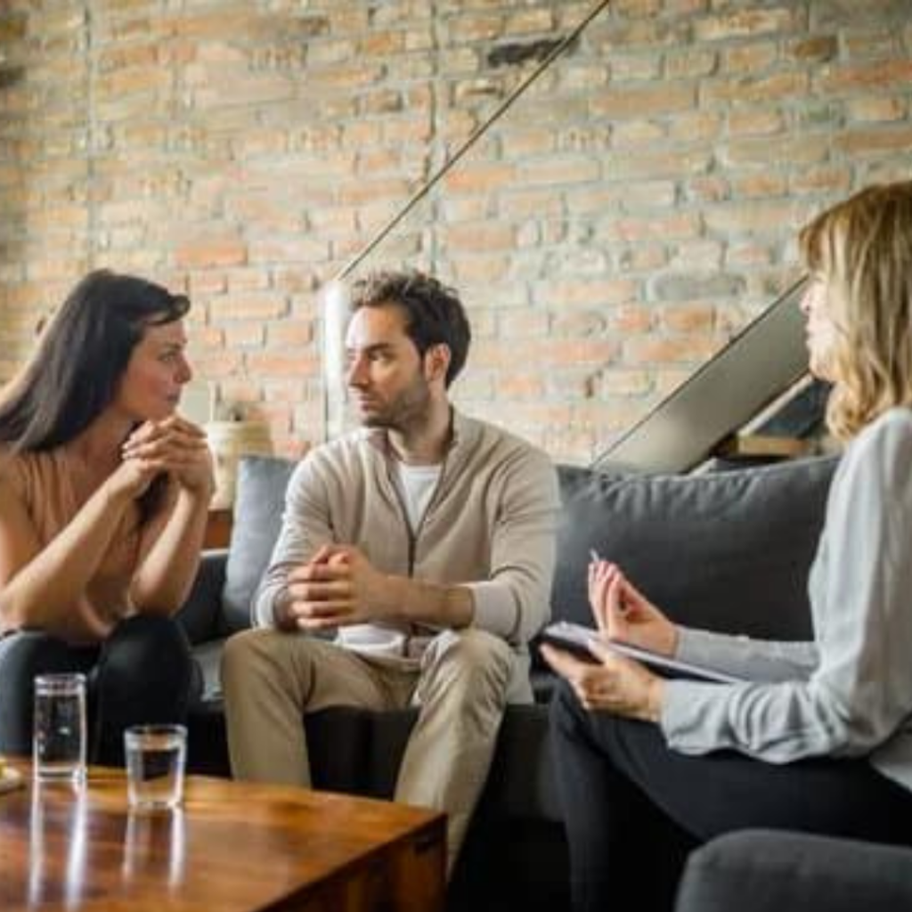 Diplomado en Terapia Sistémica: Fundamentos Teóricos & Técnicas de Intervención en Familias & Parejas